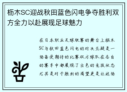 枥木SC迎战秋田蓝色闪电争夺胜利双方全力以赴展现足球魅力
