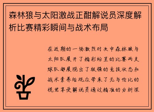 森林狼与太阳激战正酣解说员深度解析比赛精彩瞬间与战术布局